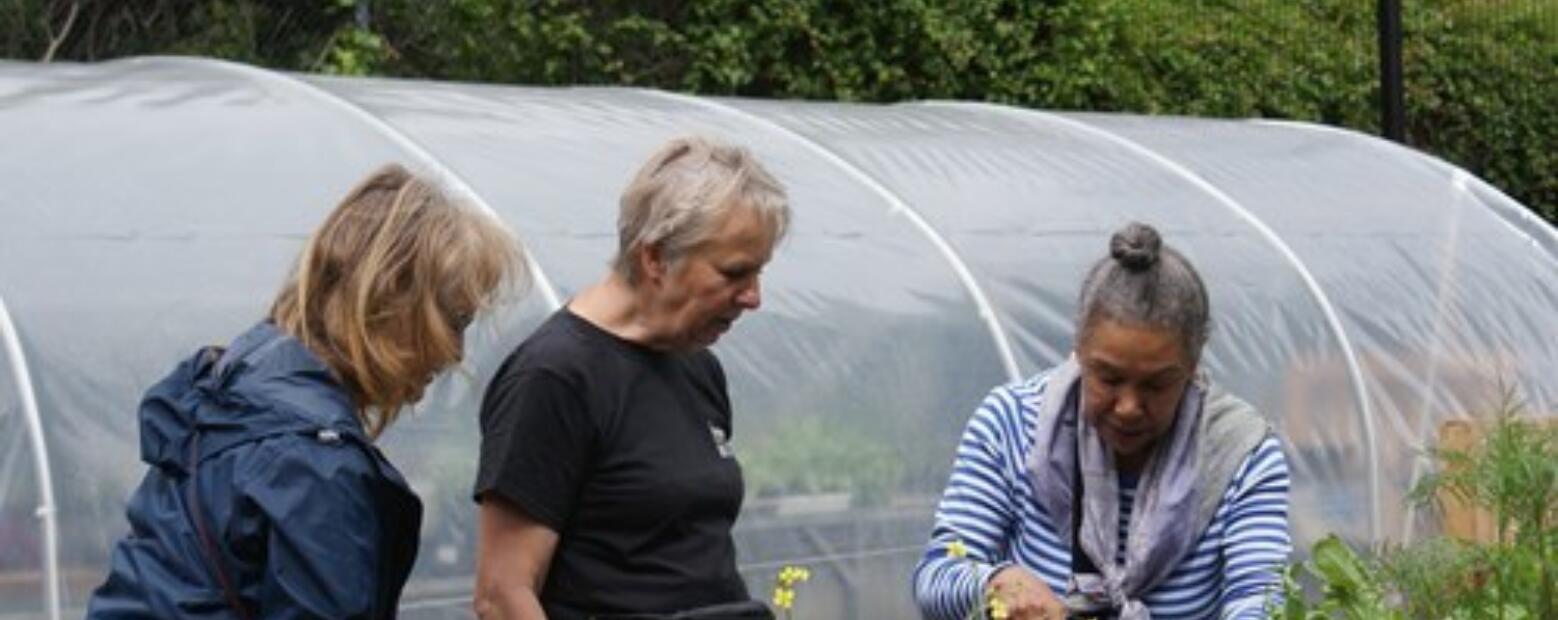 Powering up for a greener, fairer future