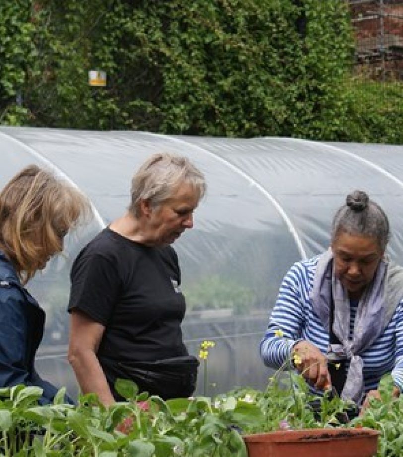 Powering up for a greener, fairer future